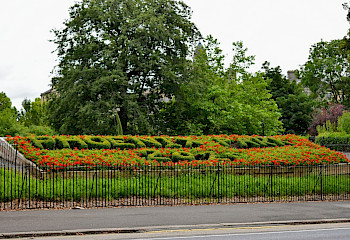 phoenix_park.350x240