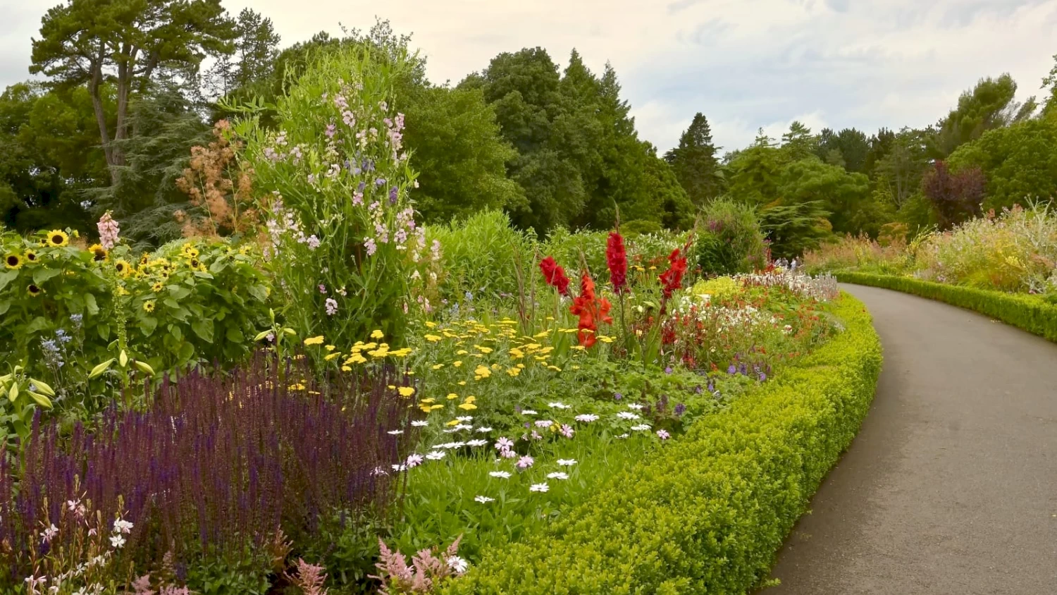 Expansive view of the historic Long Room library in Trinity College Dublin.